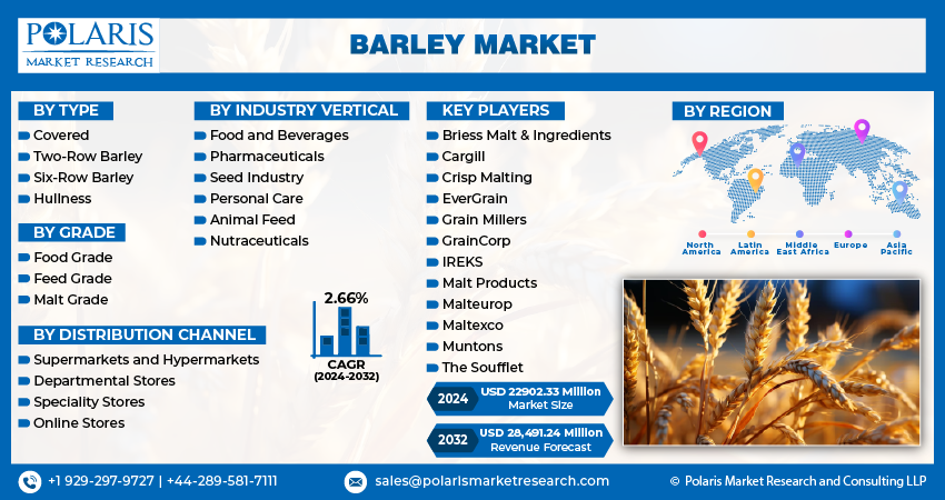 Barley Market Size